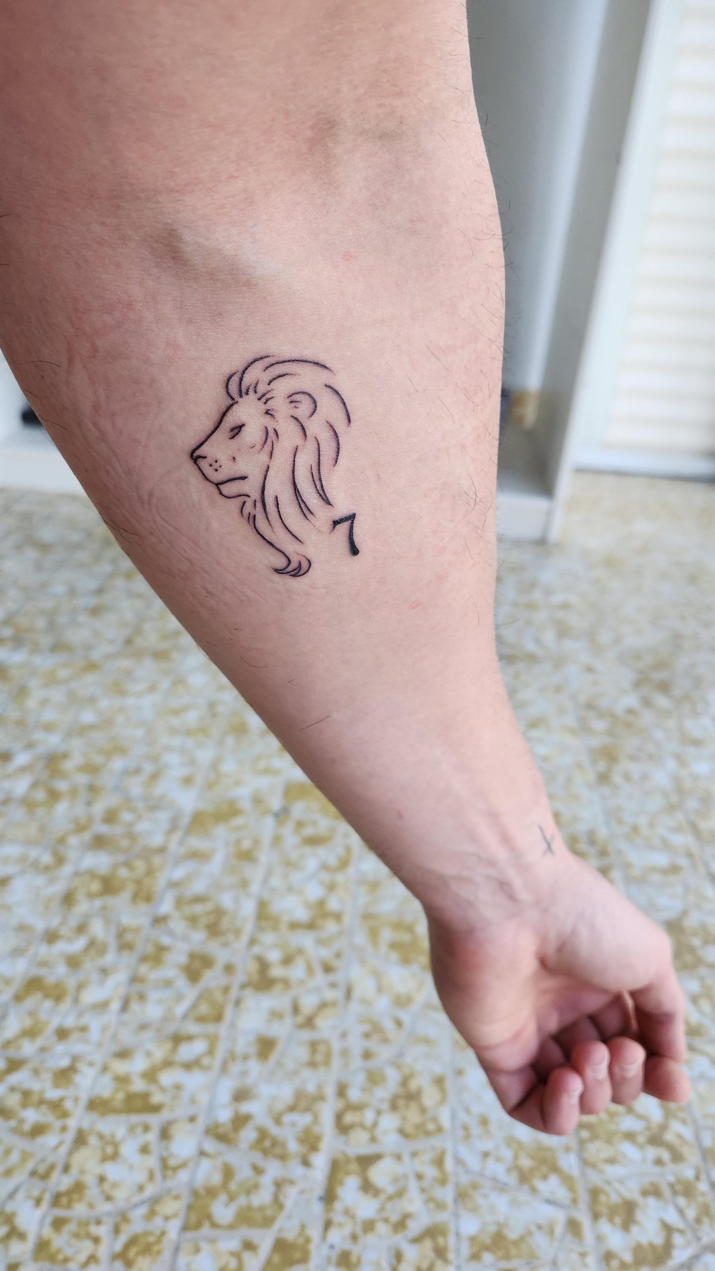 Bold and Simple Lion Tattoo Designs: Minimalist, Geometric, and Dainty ...