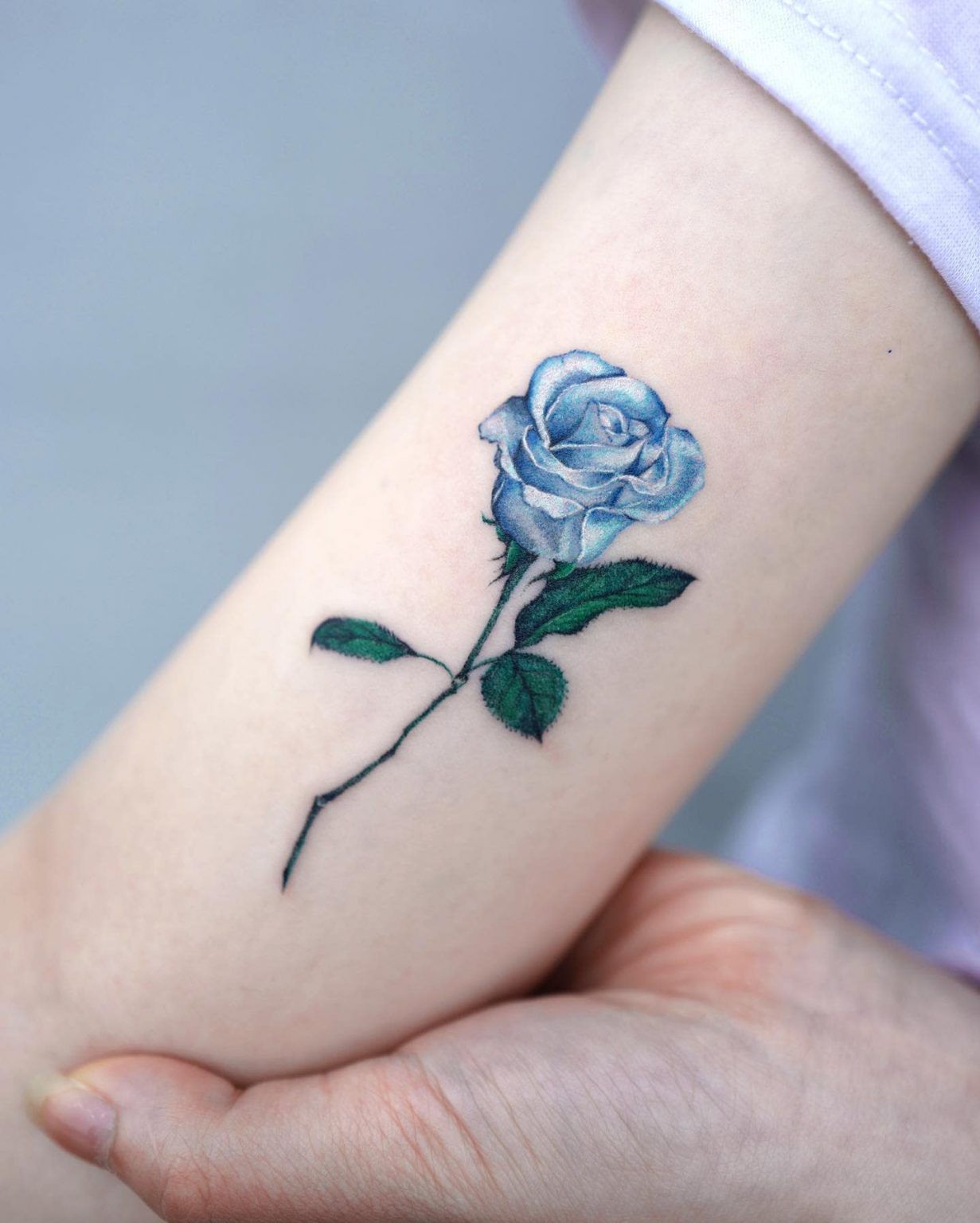 Engaging Blue Rose Tattoos for Women and Men: Designs, Meanings, and ...