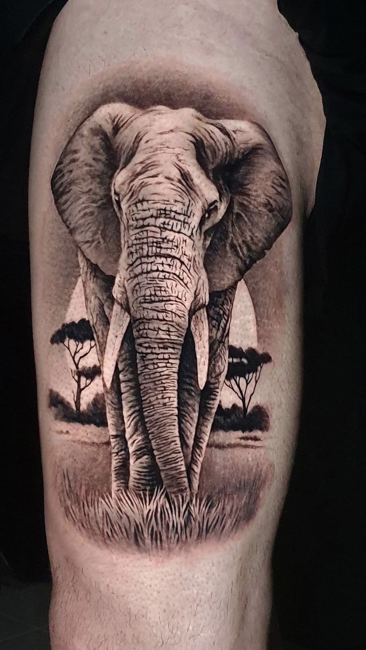 25 Stunning Elephant Tattoo Ideas 2025 For Men Including Sleeve, Thigh ...